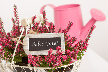 Beautiful basket with heather and an a pink watering-can