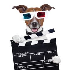 movie clapper board 3d glasses dog - obrazy, fototapety, plakaty