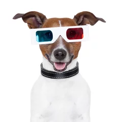 Tableaux ronds sur aluminium Chien fou 3d  glasses movie cinema dog