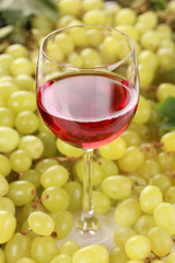 Rotwein im Glas