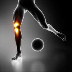 Football player injured knee joint