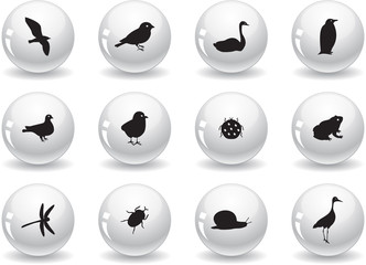 Web buttons, birds and insects