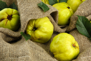 sweet quinces with leaves, on burlap background