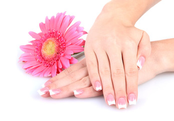 Obraz na płótnie Canvas Woman hands with french manicure and flower isolated on white