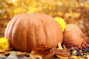 Naklejka na ściany i meble pumpkins and autumn leaves, on yellow background