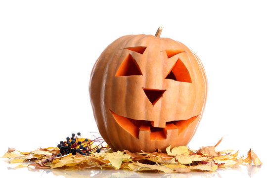 halloween pumpkin and autumn leaves, isolated on white
