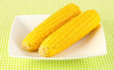 boiled corn on the white plate on a green tablecloth