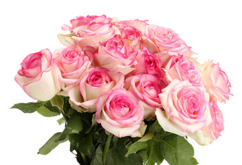 beautiful bouquet of pink roses isolated on white