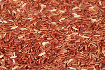 Background  red rice