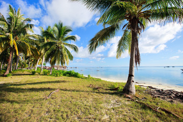 Fototapeta premium Sea gypsy village in Malaysia