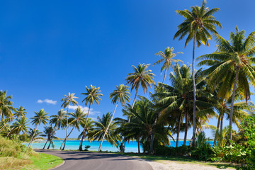 Road at Bora Bora