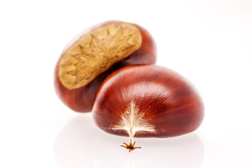 Parede class chestnuts, El Bierzo, Spain