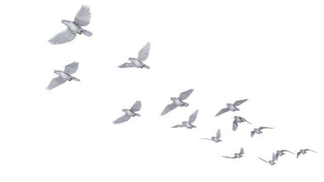 22 243 件の最適な 羽ばたく鳥 画像 ストック写真 ベクター Adobe Stock