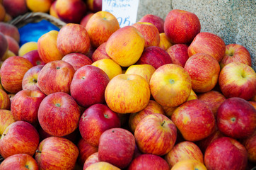 Fruits at the market stall