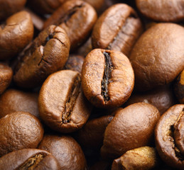 two roasted coffee beans macro