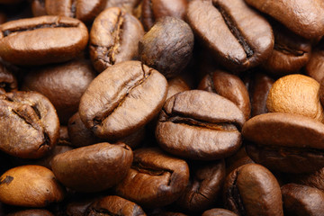 macro shot of roasted coffee beans