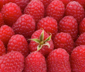 Background of Raspberries