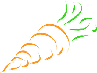 carrot illustration