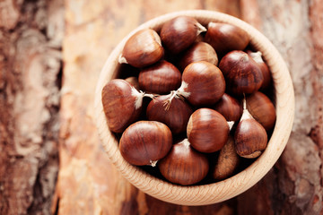 edible chestnuts