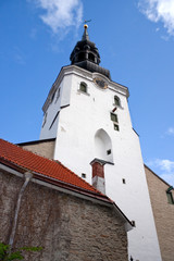 Fototapeta na wymiar Dome church in Tallinn, Estonia