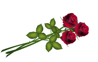 Wedding invitation, greeting card Valentine's Day, flower roses