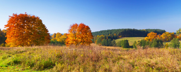 Autumnal scenery of meadow and lake in Poland