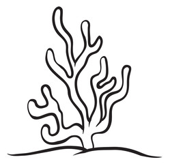 a under water plant