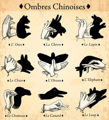 Ombres Chinoises © lynea