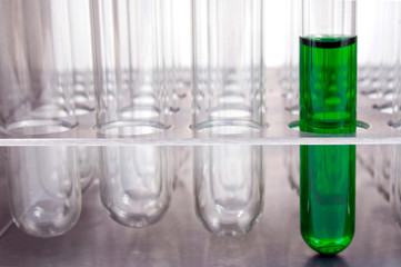 Colored liquid in test tube in holder