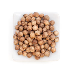 Coriander Seeds (Coriandrum sativum) in a white bowl on white ba