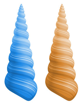 Coquillages en c&ocirc;nes