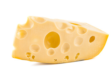 piece of cheese isolated