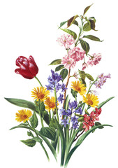 flower illustration - 46055987