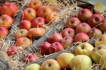 Gesundheit im Apfel