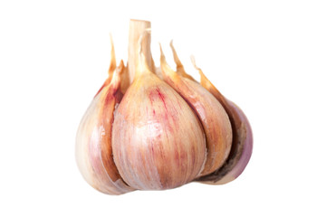 Garlic.