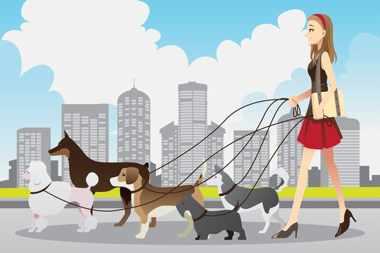 Woman walking dogs