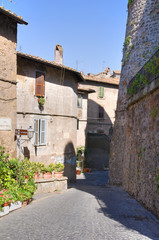 Alleyway. Ronciglione. Lazio. Italy.