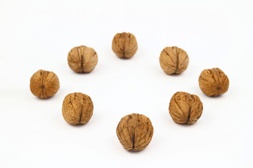 The walnut