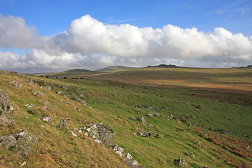 Cox Tor, Dartmoor