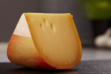 Close up gouda cheese