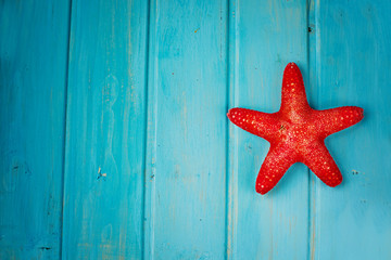 starfish in blue background