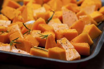 Zucca - Pumpkin