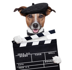 movie clapper board director dog - obrazy, fototapety, plakaty
