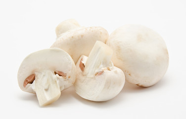 Champignon mushroom white agaricus