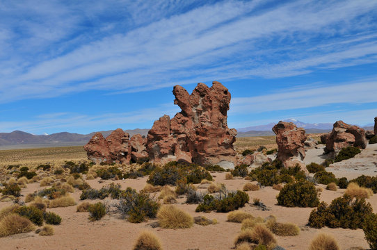 Paysage de l'altiplano.