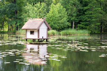 Vogelhaus, Teich, Entenhaus, Hütte, See, Weiher,