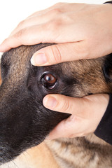 Augen- und Bindehautkontrolle unten