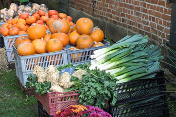 frisches Gemüse