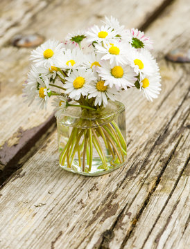 G&auml;nsebl&uuml;mchen, Blumengru&szlig;, Alles Liebe!, Bellis perennis