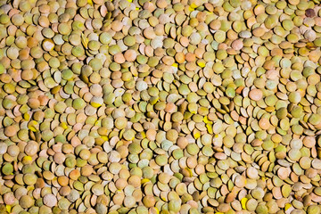 extra class brown and dry lentils closeup